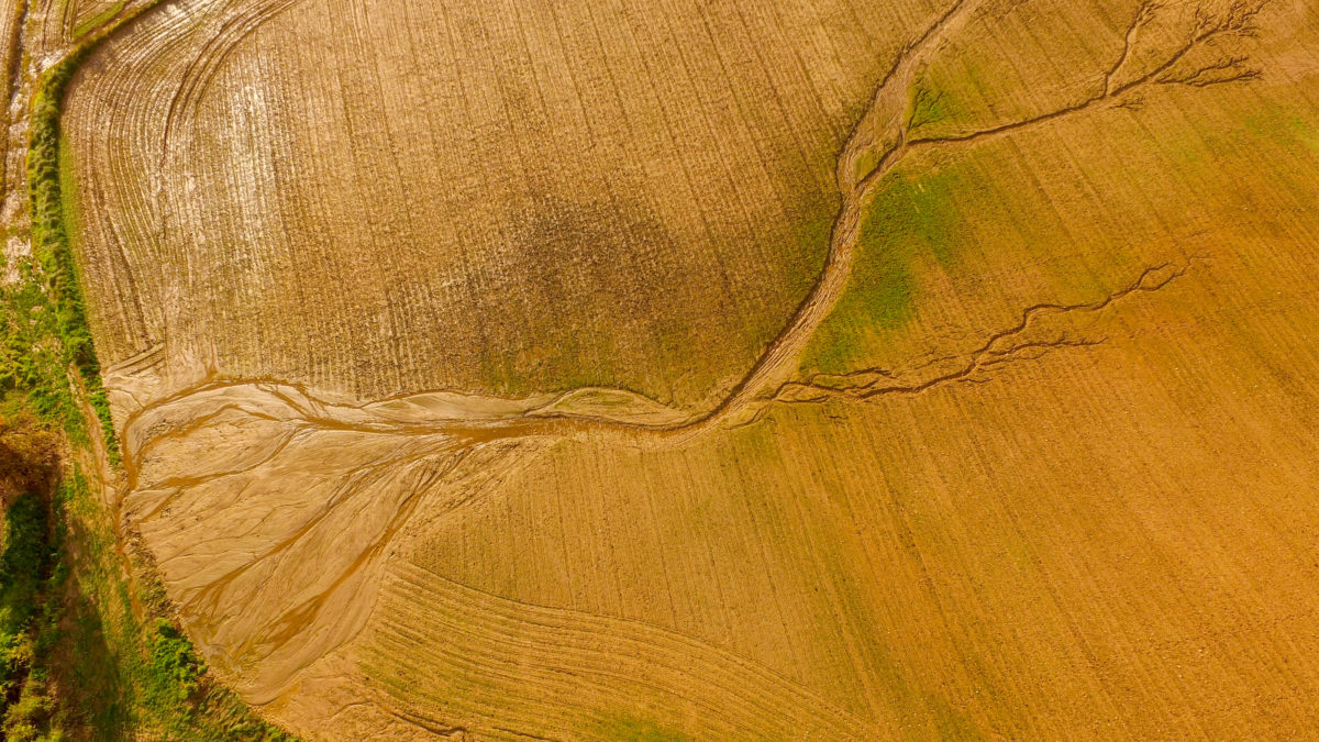 Flooded crop field