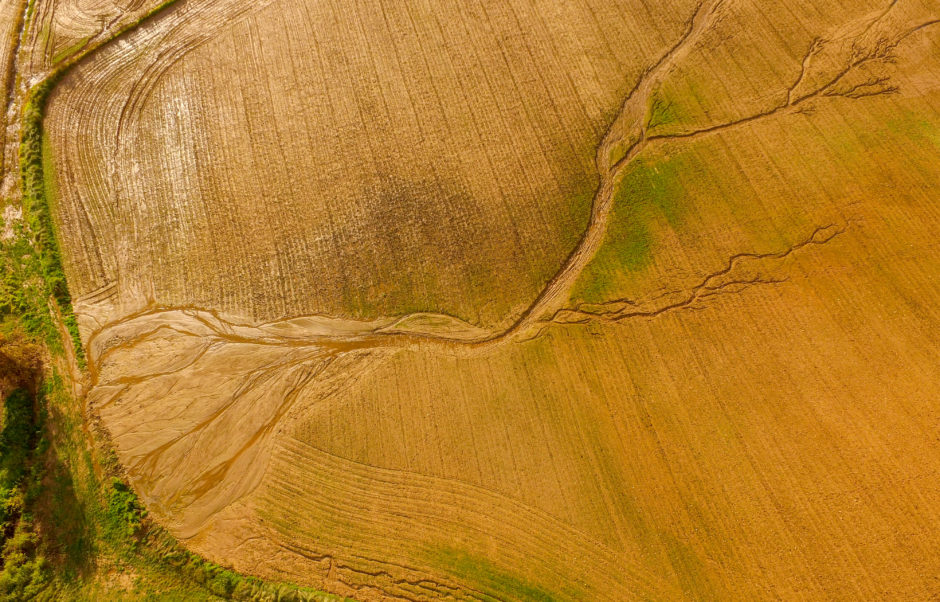 Flooded crop field