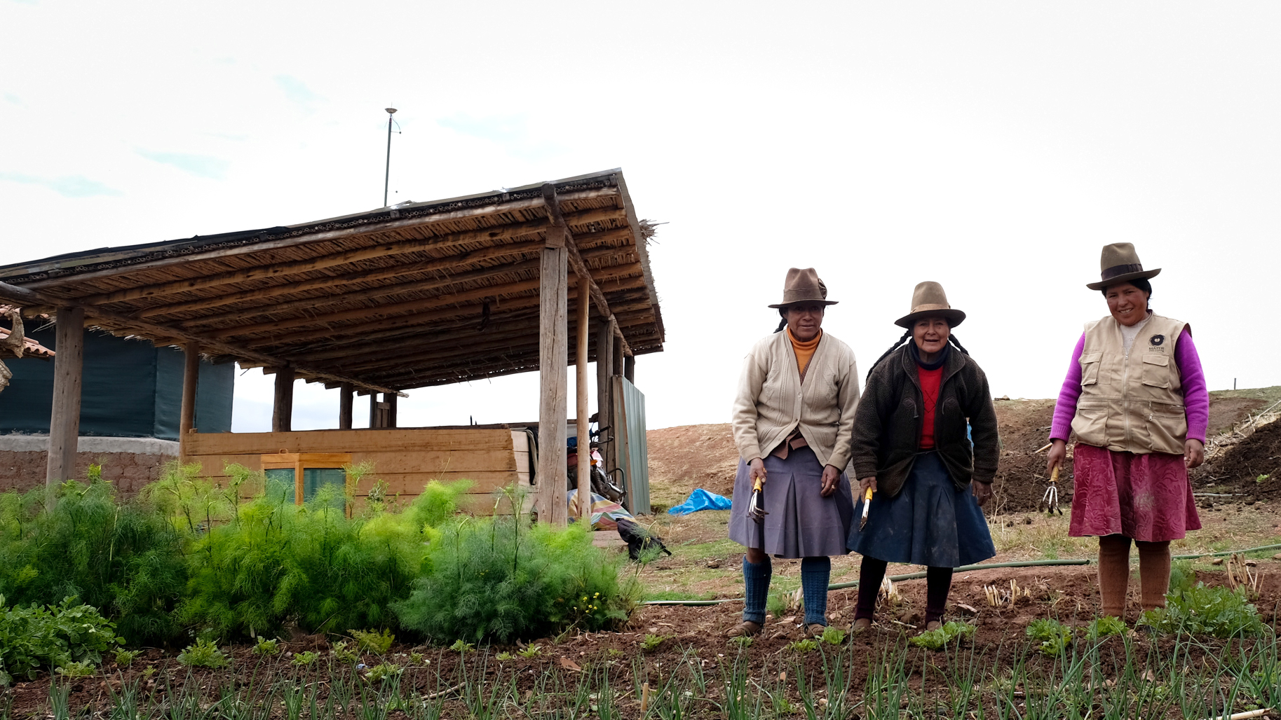 The Ancient Andean Tradition of Eating Clay May Have Helped To