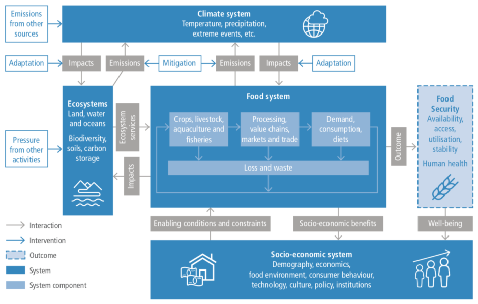 Systems representation from the 2019 IPCC report on Climate Change and Land