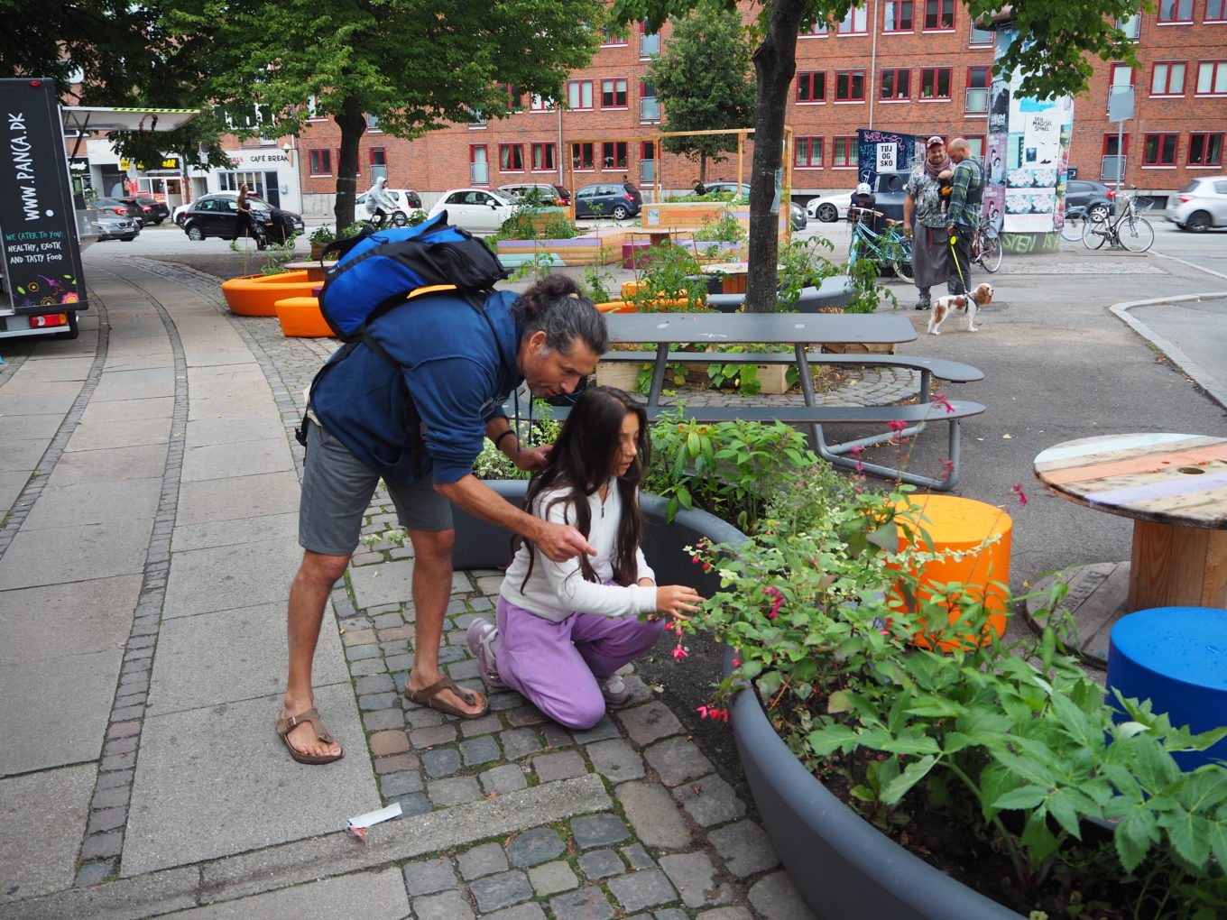 Thinking Urban Food Environments Post Biology Diagrams