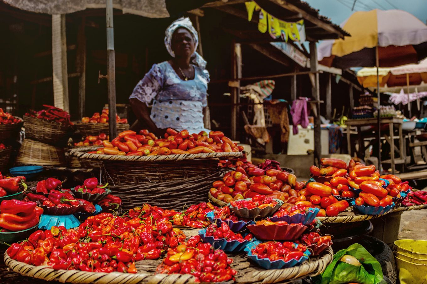 The EAT-Lancet Commission Brief for African Cities - EAT